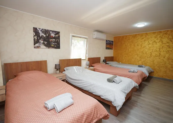 Champions Daire Kladovo