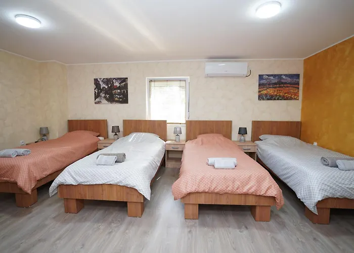 Daire Champions Kladovo