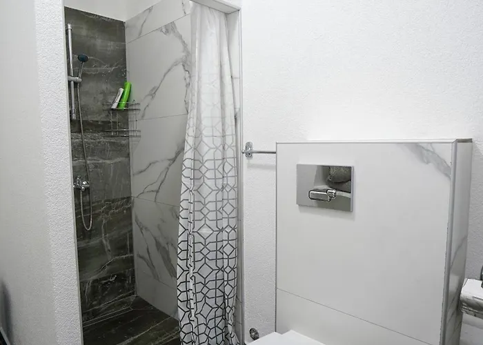 Champions Daire Kladovo